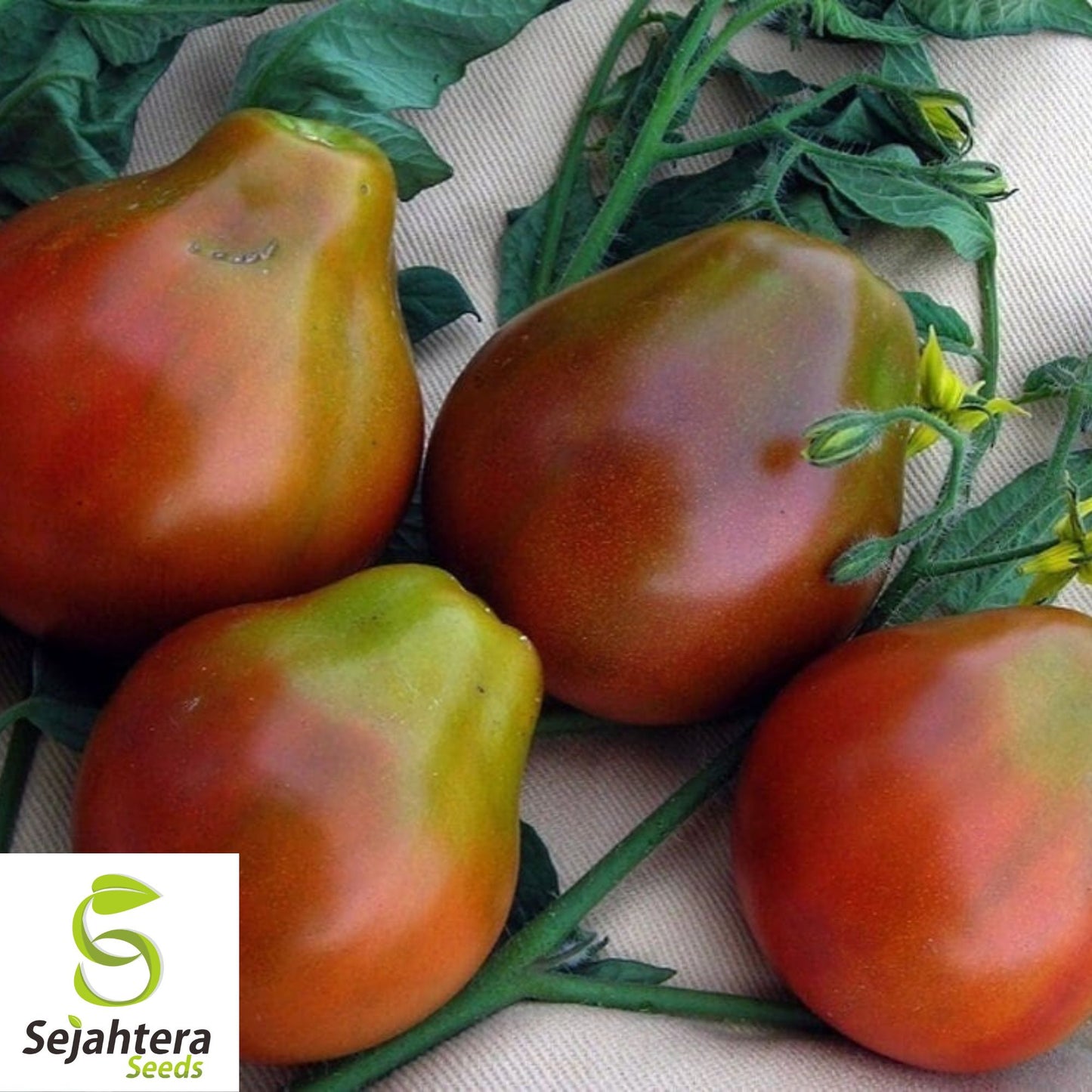 Black Truffle Tomato Seeds - 120+ Organic Heirloom - Sweet & Rare - Non-GMO