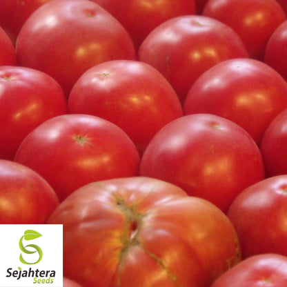50 German Johnson Tomato Seeds - Heirloom, Non-GMO, Juicy & Flavorful Variety