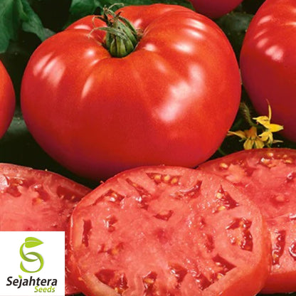 Jersey Tomato Seeds - 120+ Organic, Non-GMO, Beefsteak & Fresh