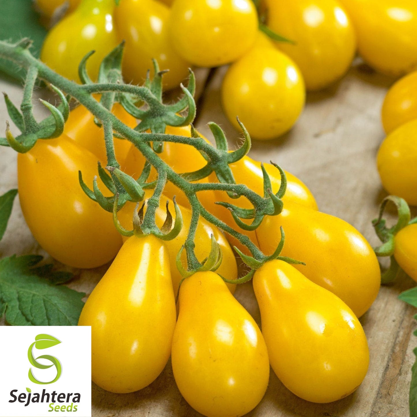 30 Yellow Pear Tomato Seeds - Non-GMO, Sweet & Heirloom Variety