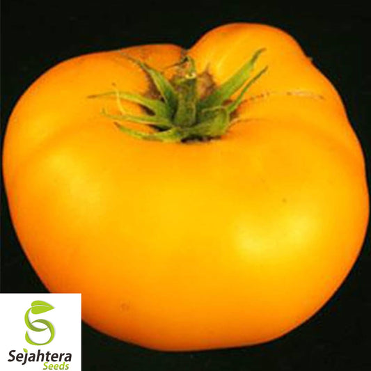 10+ Yellow Brandywine Tomato Seeds - Heirloom, Organic, Non-GMO, Sweet & Juicy