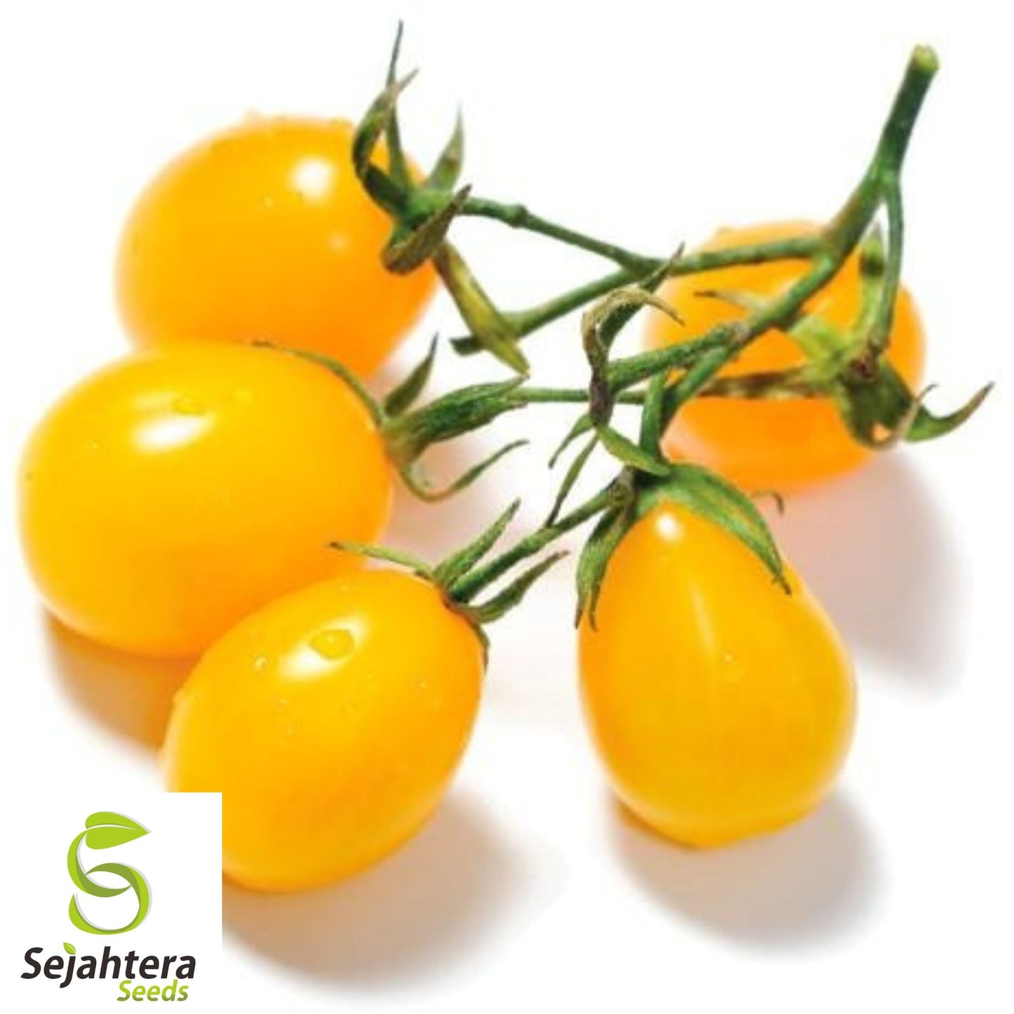 30 Yellow Pear Tomato Seeds - Non-GMO, Sweet & Heirloom Variety