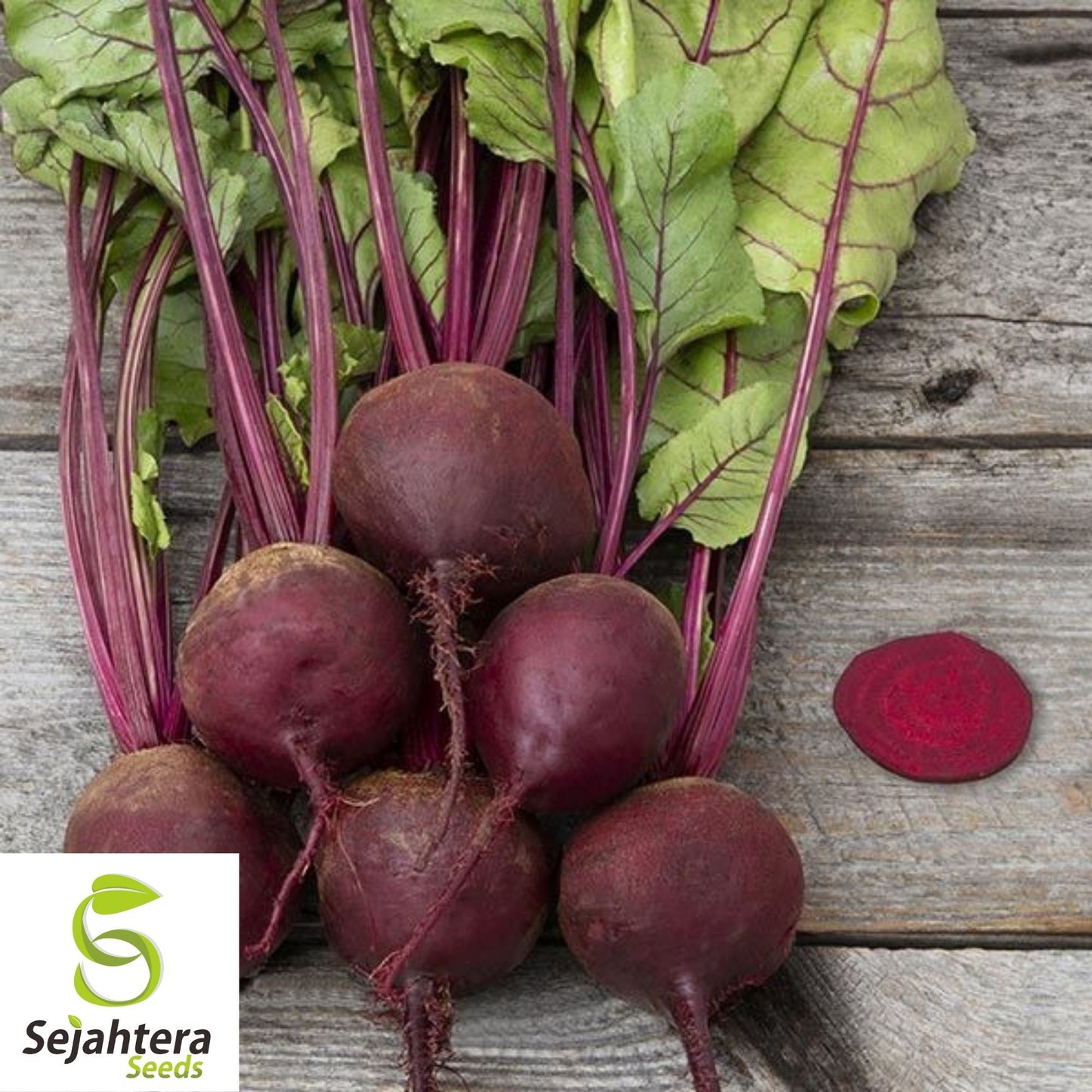 Early Wonder Tall Top Beet Seeds 100 Ct | NON-GMO Vegetable Garden USA