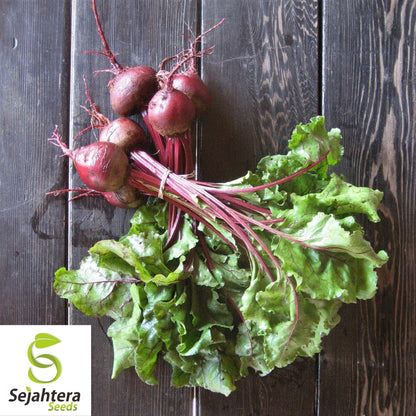 Early Wonder Tall Top Beet Seeds 100 Ct | NON-GMO Vegetable Garden USA