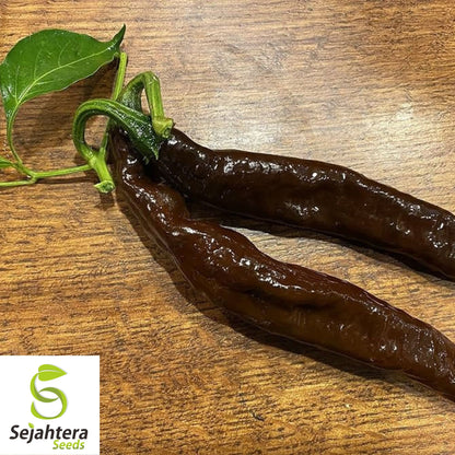 25 Pasilla Bajio Pepper Seeds - Non-GMO, Mild & Smoky Flavor