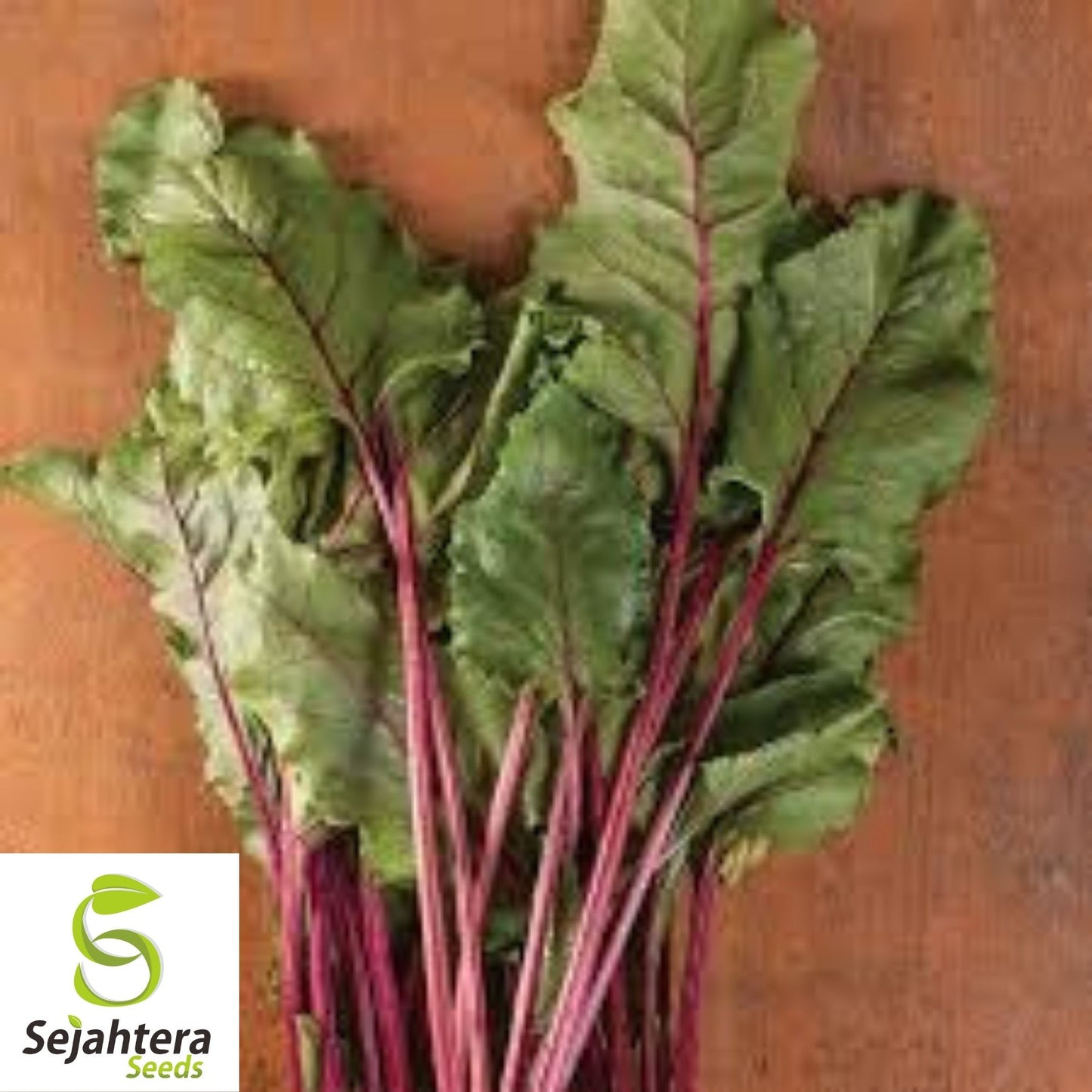 Early Wonder Tall Top Beet Seeds 100 Ct | NON-GMO Vegetable Garden USA