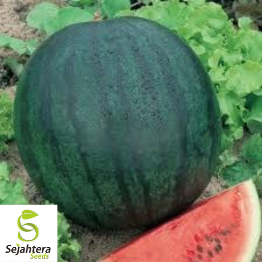 Sugar Baby Watermelon Seeds - 10+ Heirloom, Non-GMO, Super Sweet & Juicy