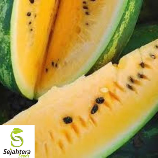 25+ Mountain Sweet Watermelon Seeds - Heirloom, Organic, Non-GMO, Rare & Juicy
