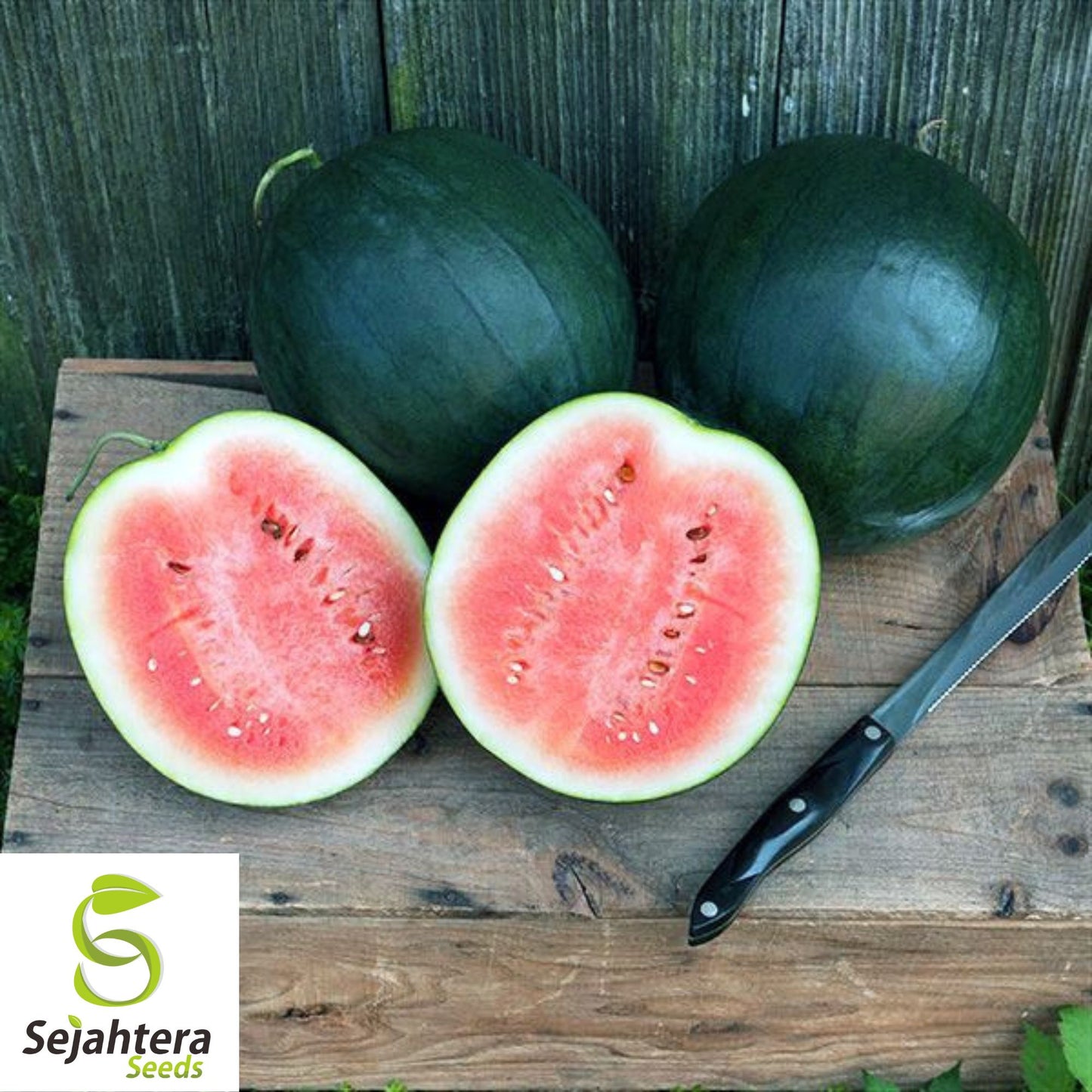 Sugar Baby Watermelon Seeds - 10+ Heirloom, Non-GMO, Super Sweet & Juicy