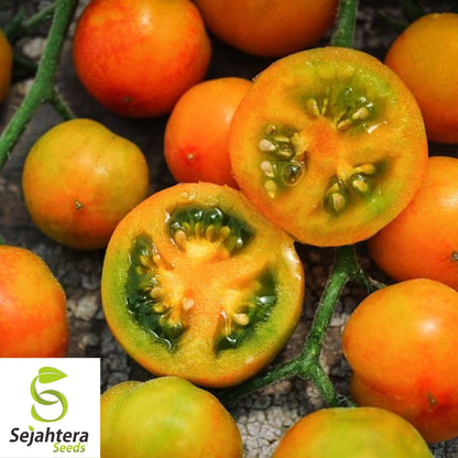 30 Isis Candy Cherry Tomato Seeds - Non-GMO, Sweet & Heirloom Variety