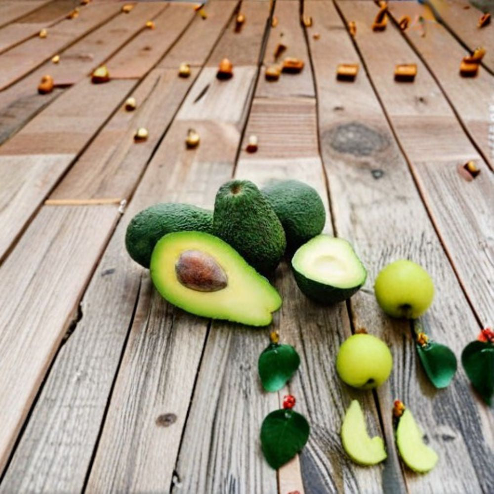 Avocado Tree – Persea americana Live Seedling | Approx. 6 Months Old | Starter Plant  Indoor & Outdoor Friendly | Container Grower | Easy to Grow