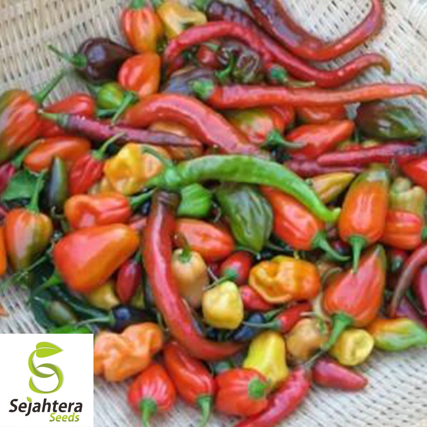 Hot and Happy Pepper Mix Seeds - 100+ Heirloom, Large Assortment & Spicy