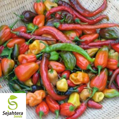 Hot and Happy Pepper Mix Seeds - 100+ Heirloom, Large Assortment & Spicy