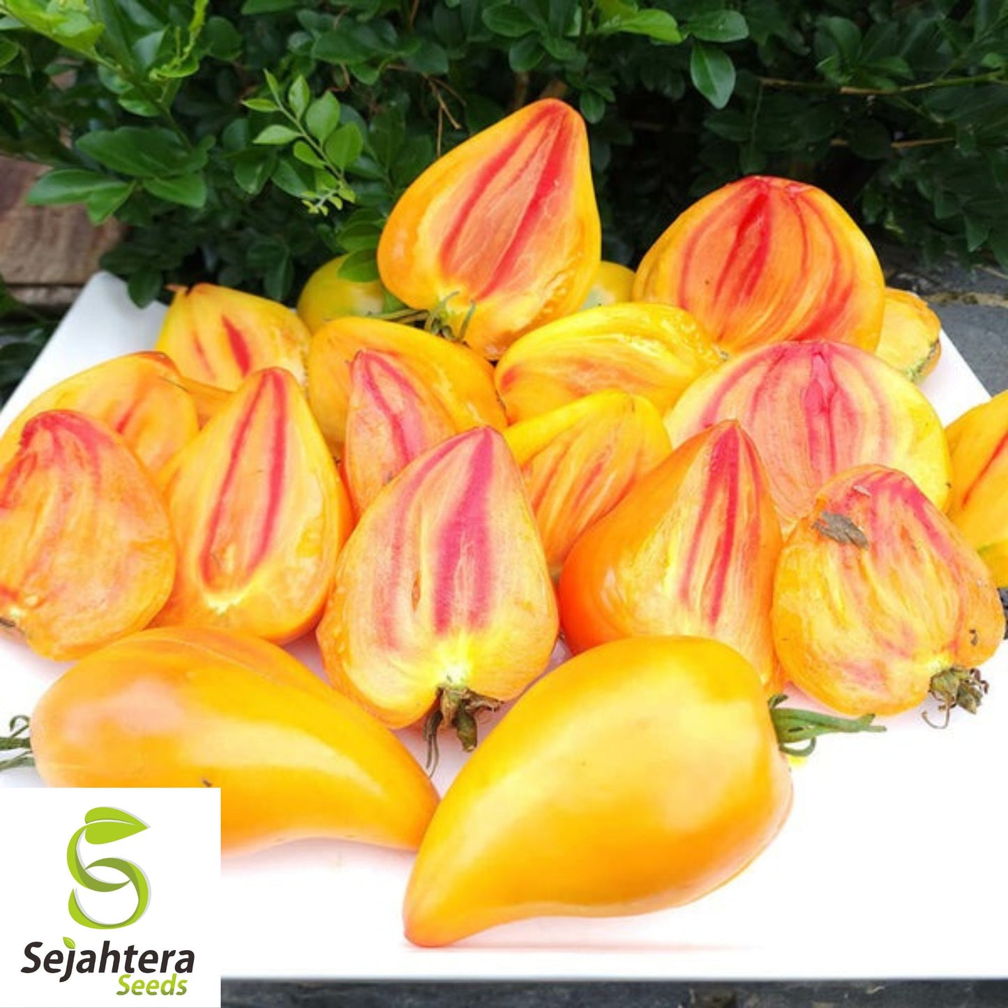Orange Oxheart Tomato Seeds - 120+ Heirloom, Organic, Non-GMO & Rare