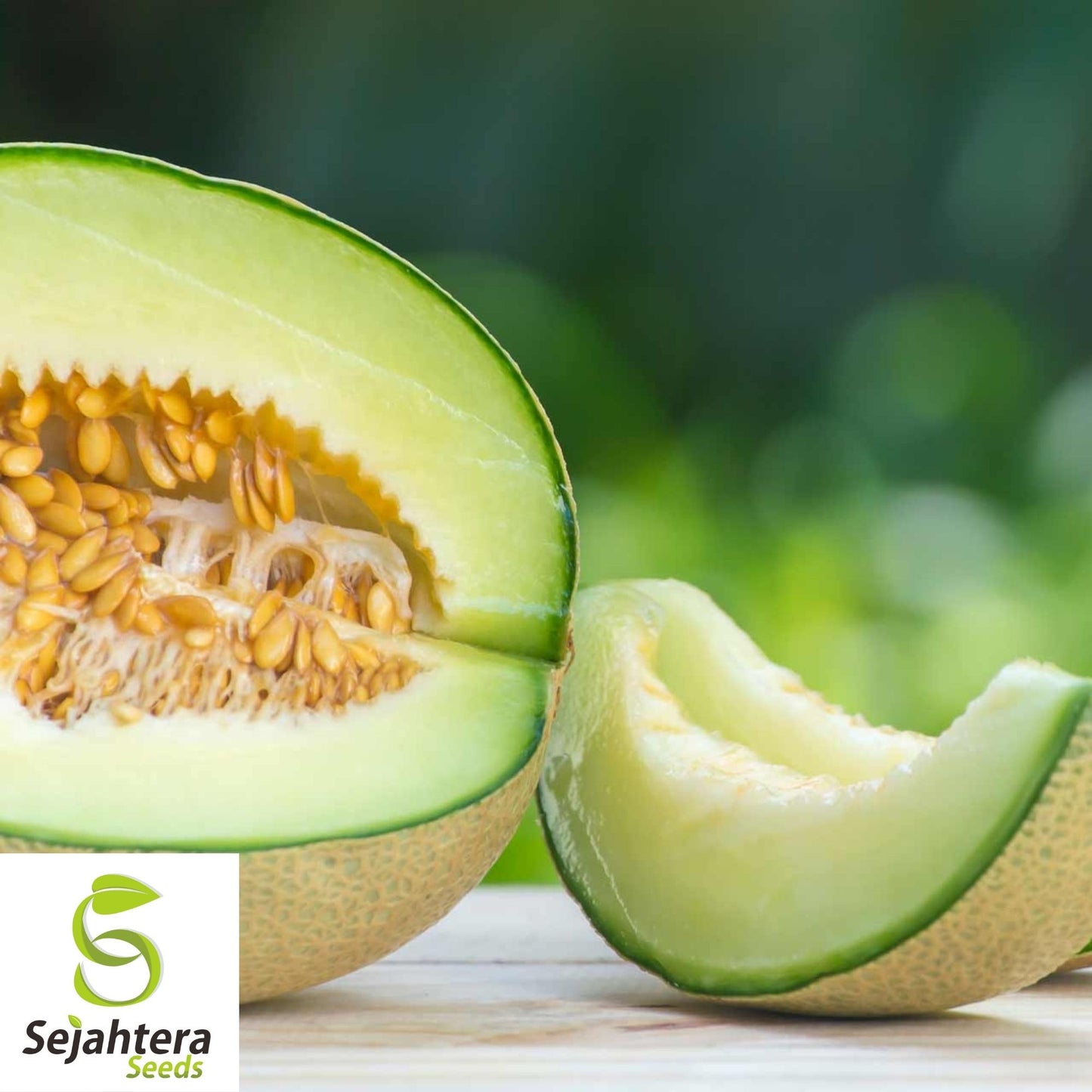 Rocky Ford Cantaloupe Seeds 50+ | Green Flesh Eden Gem Melon Fruit USA