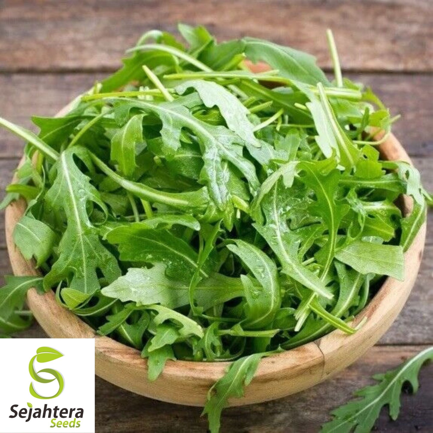 1200 Organic Arugula Seeds - Non-GMO, Peppery & Nutritious Salad Green