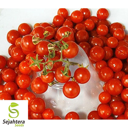 30 Sweetie Tomato Seeds - Non-GMO, Extra Sweet Cherry Variety