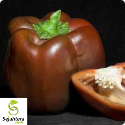 30+ Chocolate Beauty Bell Pepper Seeds - Heirloom, Non-GMO Sweet Vegetable