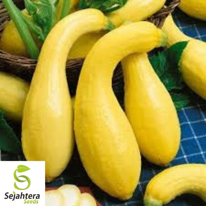 Crookneck Squash Seeds 30 Ct | Golden Yellow Summer Vegetable Garden USA