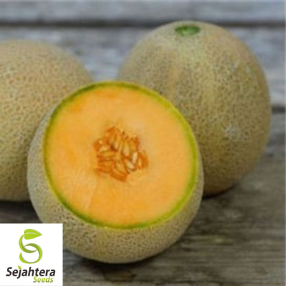 Rocky Ford Cantaloupe Seeds 50+ | Green Flesh Eden Gem Melon Fruit USA