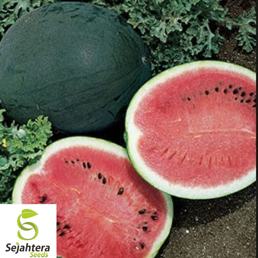 25+ Sugar Baby Watermelon Seeds - Heirloom, Non-GMO, Super Sweet & Juicy