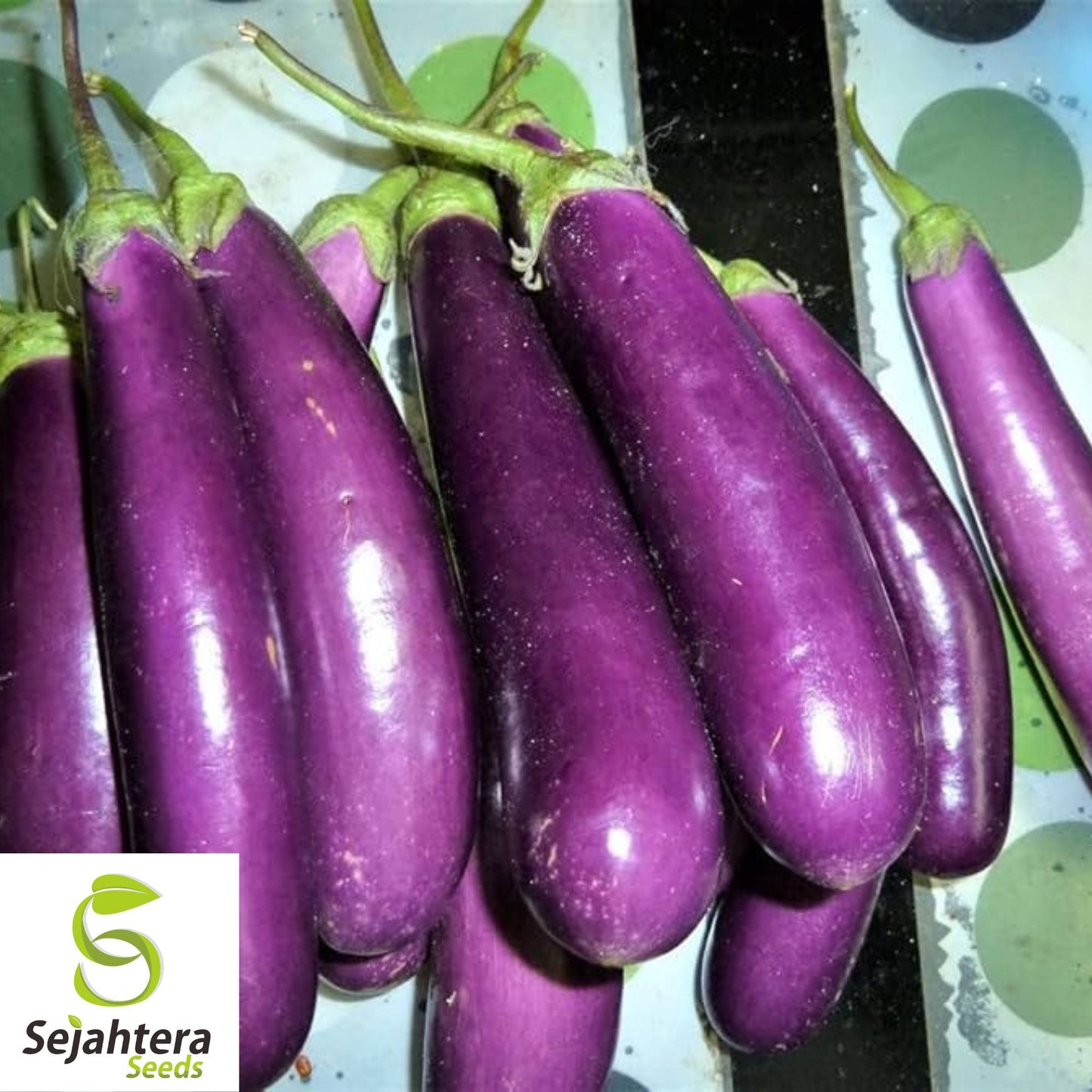 200+ Long Purple Eggplant Seeds - Heirloom, Non-GMO, Tender & Productive