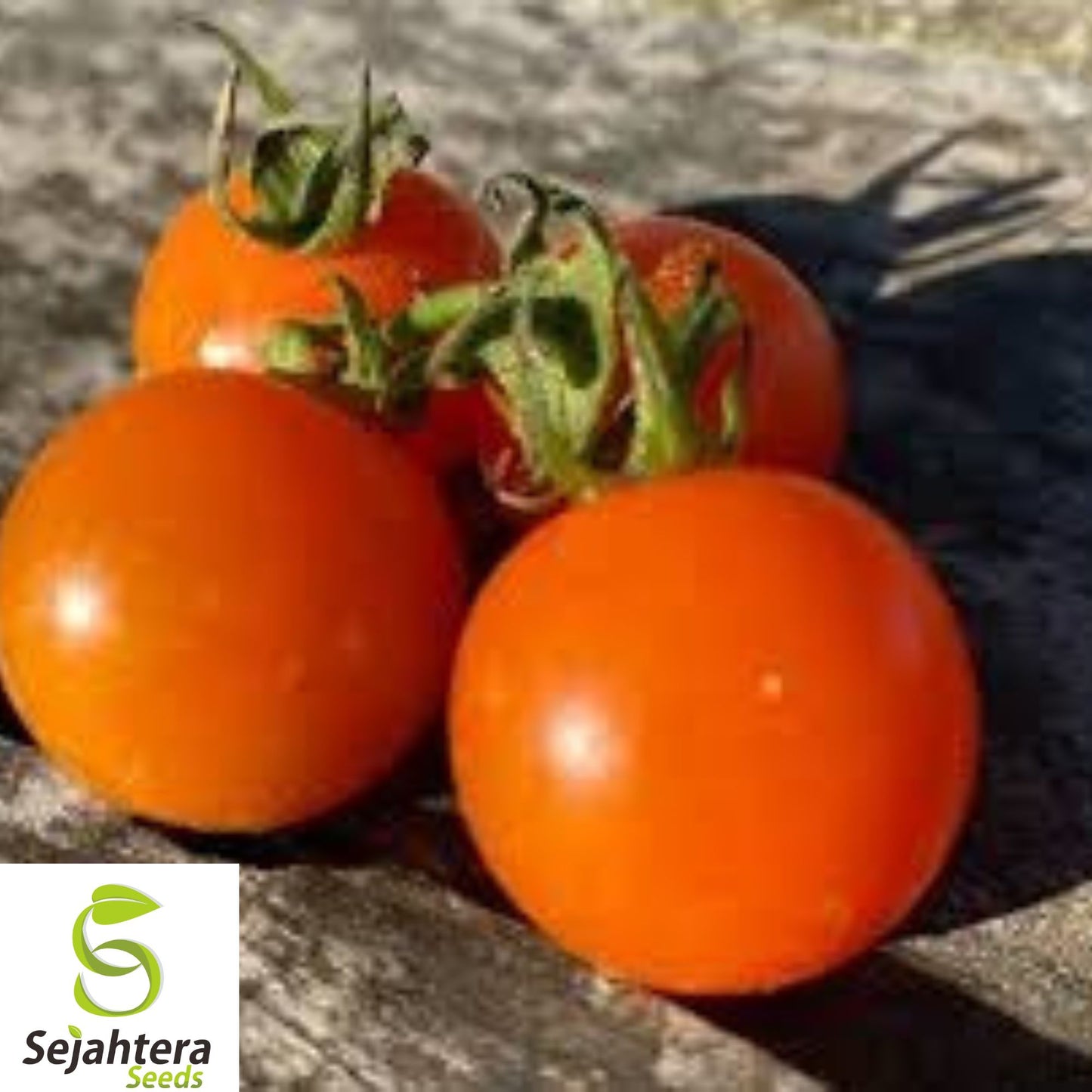 10+ Orange Cherry Tomato Seeds - Heirloom, Organic, Non-GMO, Rare & Sweet