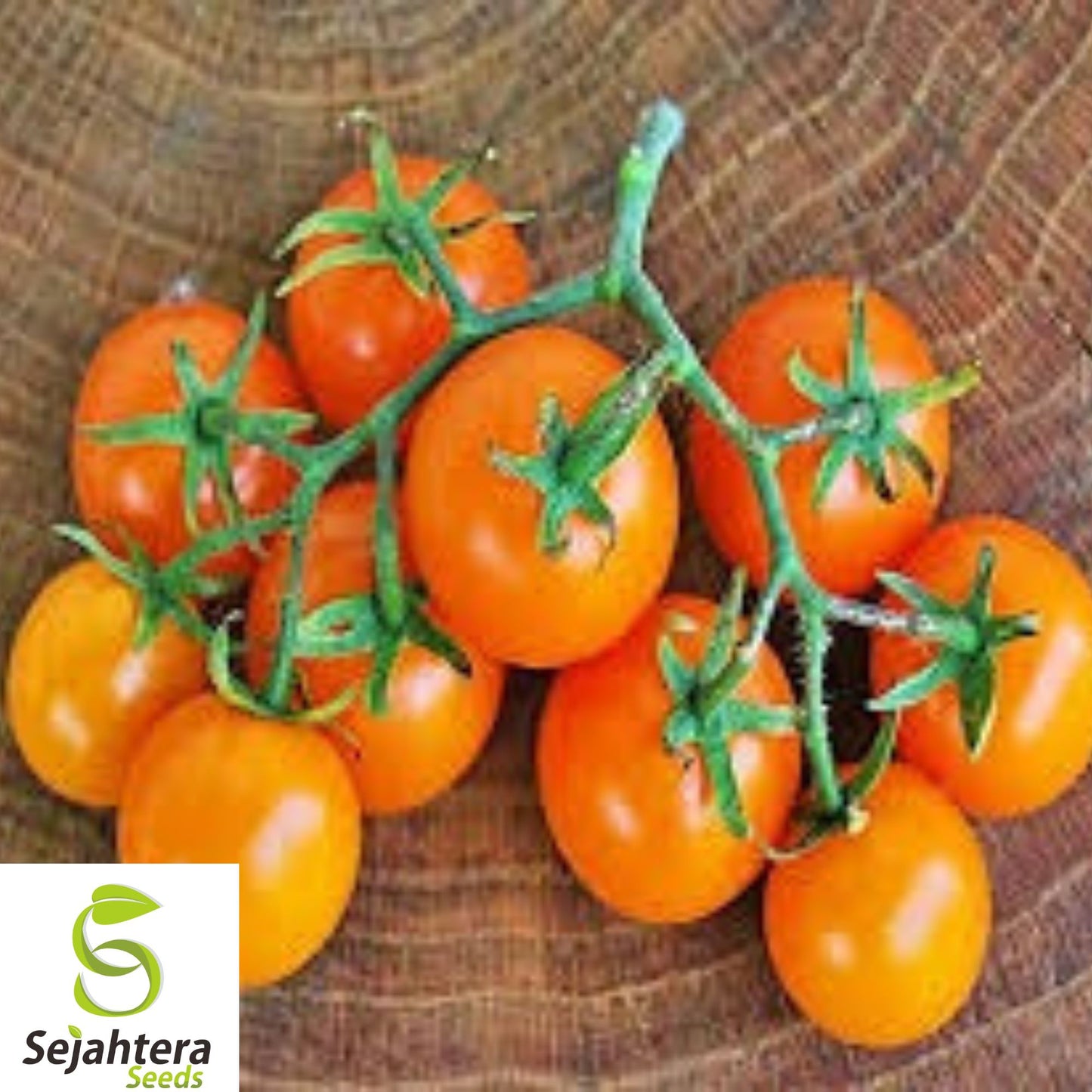 10+ Orange Cherry Tomato Seeds - Heirloom, Organic, Non-GMO, Rare & Sweet