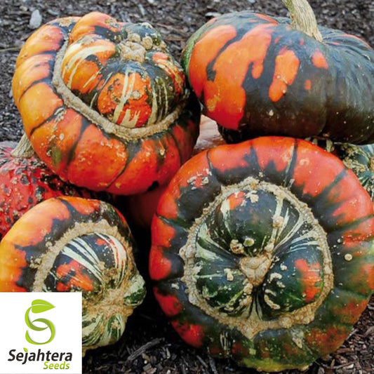 Turk's Turban Pumpkin Gourd Seeds - 10+ Heirloom, Organic, Non-GMO & Rare