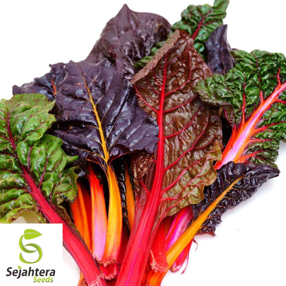 Rainbow Swiss Chard Seeds 50 Ct | Colorful NON-GMO Vegetable Garden USA