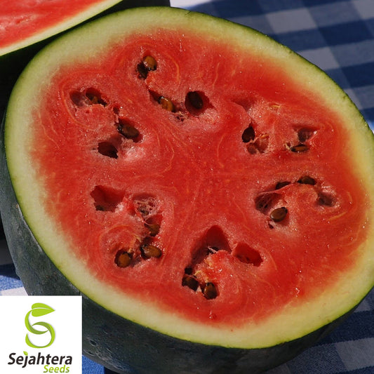 10+ Sugar Baby Watermelon Seeds - Super Sweet, Heirloom, Non-GMO, Juicy & Fresh