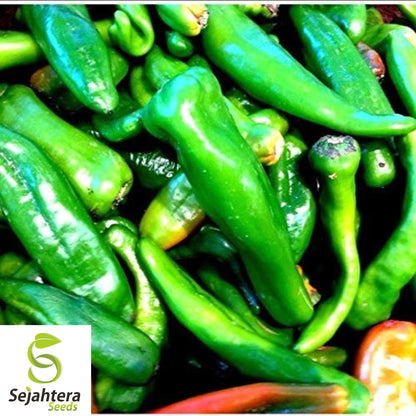 25 Hatch Rattlesnake Pepper Seeds - Non-GMO, Spicy & Flavorful