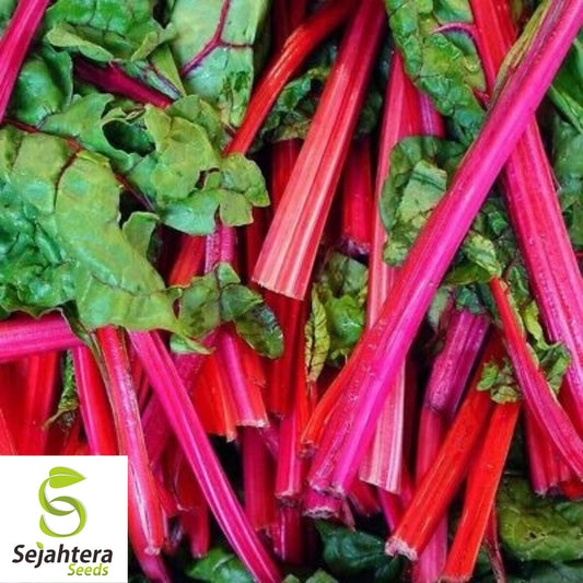 50 Rhubarb Red Swiss Chard Seeds - Heirloom, Non-GMO Vegetable
