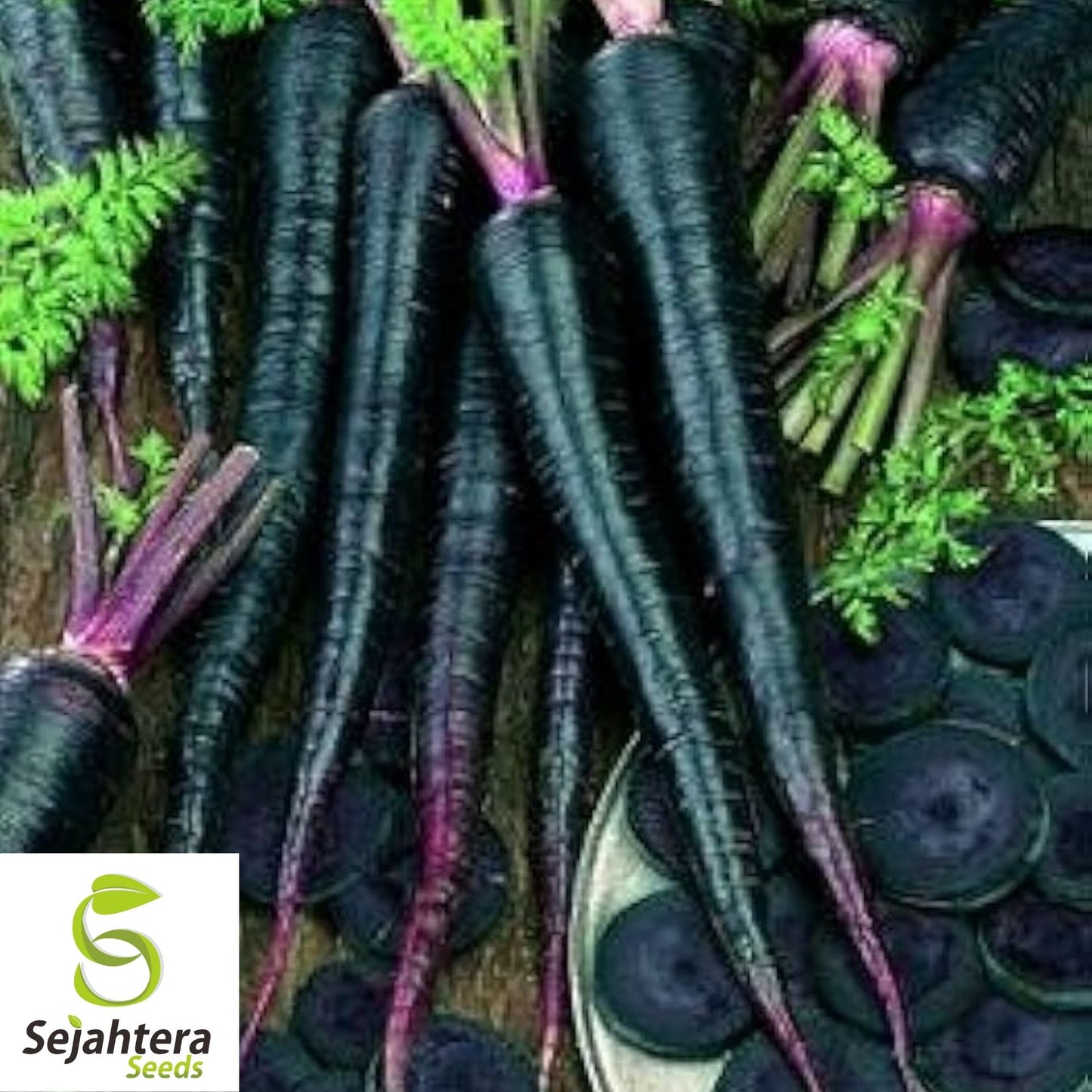 Black Nebula Carrot Seeds 150+ | NON-GMO Heirloom Vegetable Garden USA