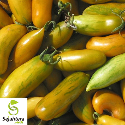 30 Green Sausage Tomato Seeds - Non-GMO, Heirloom & Unique Variety