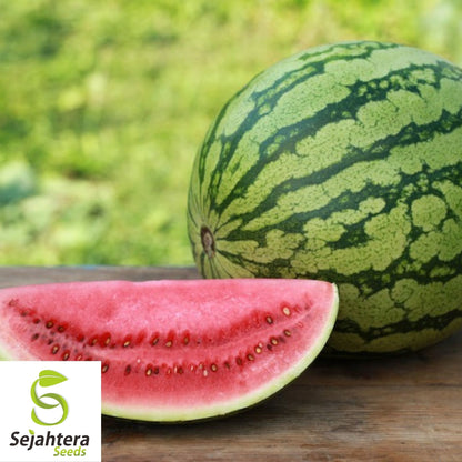 Watermelon Crimson Sweet Seeds 50+ | Heirloom Fruit Melon NON-GMO USA