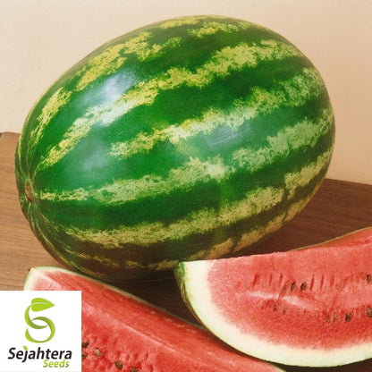 Watermelon Crimson Sweet Seeds 50+ | Heirloom Fruit Melon NON-GMO USA