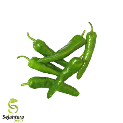 25 Hatch Rattlesnake Pepper Seeds - Non-GMO, Spicy & Flavorful