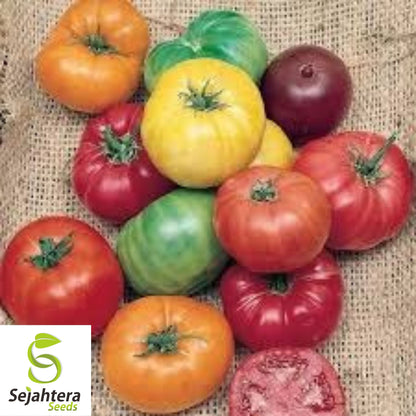 Rainbow Beefsteak Tomato Seeds - 120+ Heirloom, Organic, Non-GMO & Colorful