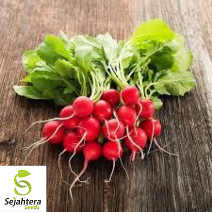 Cherry Belle Radish Seeds 200 Ct | Heirloom NON-GMO Vegetable Garden USA