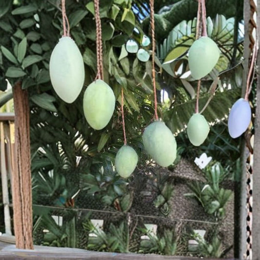 Pineapple Pleasure Mango Tree – Mangifera indica Live Seedling | Tropical Fruit Tree | Ready to Grow  Sweet Tropical Variety | Full Sun Lover | Subtropical Favorite