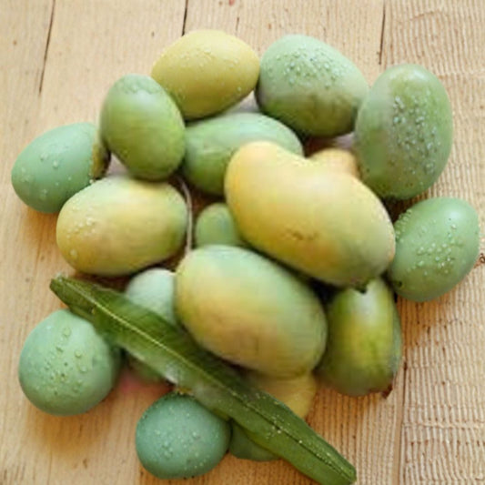 Mallika Mango Tree – Mangifera indica ‘Mallika’ Live Grafted Plant | 1–2 Feet Tall | Ships in 3 Gallon Pot  Premium Indian Dessert Mango | Fiberless & Aromatic | Highly Productive