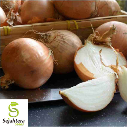 200 Yellow Spanish Sweet Onion Seeds - Non-GMO, Mild & Flavorful Variety