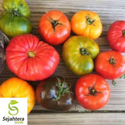 Rainbow Beefsteak Tomato Seeds - 120+ Heirloom, Organic, Non-GMO & Colorful