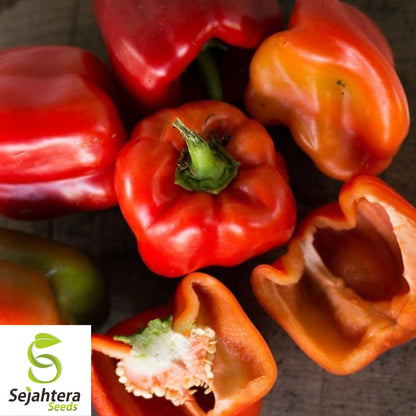 25 Big Red Pepper Seeds - Non-GMO, Sweet & Crisp Bell Peppers