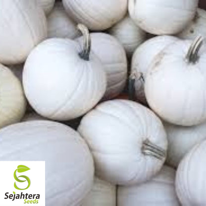 Casper White Pumpkin Seeds - 20+ Non-GMO, Rare, Fresh & Smooth White Skin