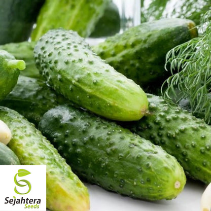 Boston Pickling Cucumber Seeds - 100+ Heirloom, Non-GMO, Crisp & High-Yield