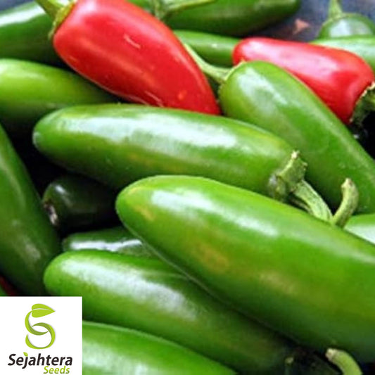 50+ Early Jalapeno Pepper Seeds - Heirloom, Non-GMO, Spicy & High-Yield Variety