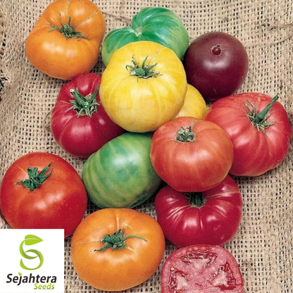 Rainbow Beefsteak Mix Tomato Seeds - 10+ Heirloom, Organic, Non-GMO & Fresh