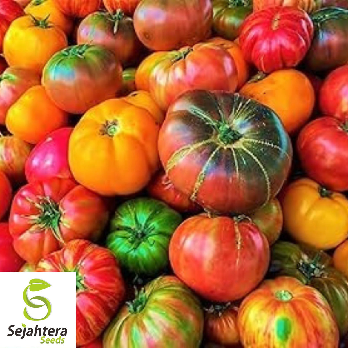 Rainbow Beefsteak Mix Tomato Seeds - 10+ Heirloom, Organic, Non-GMO & Fresh
